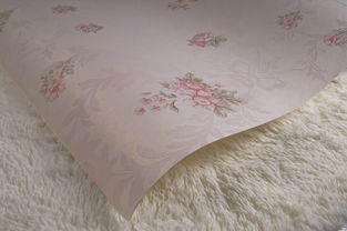 無紡布墻紙 生產、價格與選擇指南